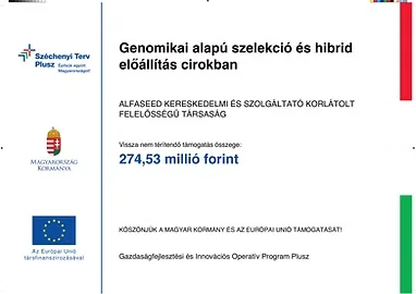 GINOP_PLUSZ-2.1.1-21-2022-00150 – Genomikai alapú szelekció és hibrid előállítás cirokban